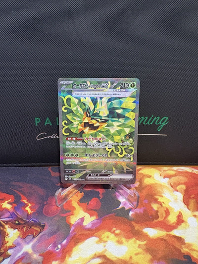 Teal Mask Ogerpon ex SAR 125/101  SV6  Pokemon TCG Japanese NM/M